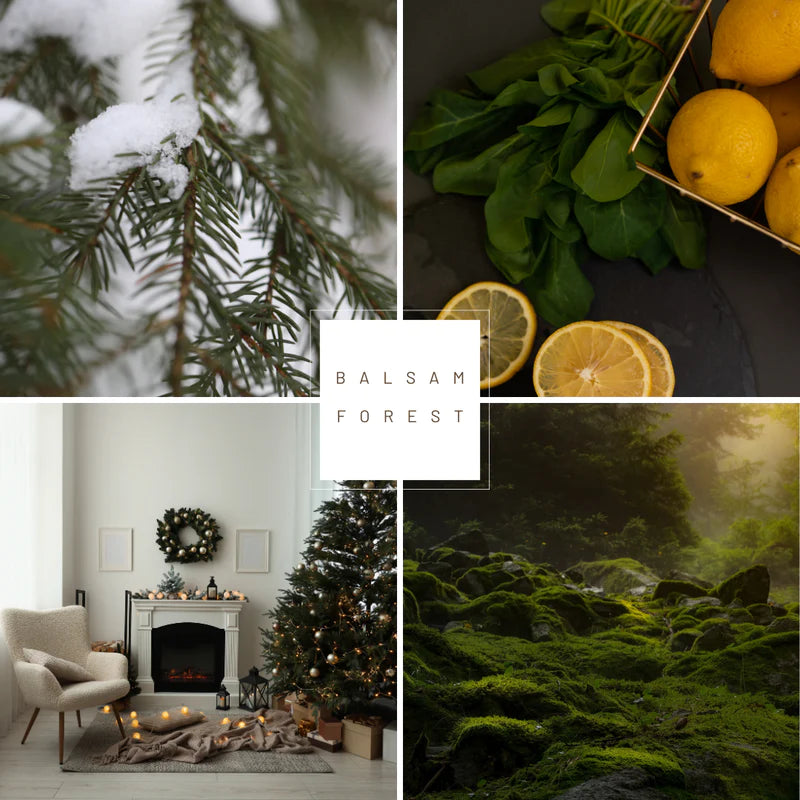Balsam Forest Premium Wax Melts